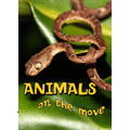 Kids' Book Title: Animals On The Move